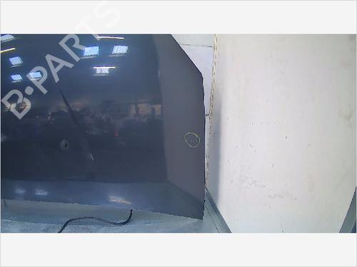 Motorhjelm DACIA SANDERO 1.4 (BS0C, BS0A, BS0G, BS1F, BS0E) (75 hp) 9406706