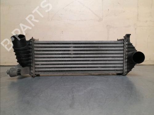 Used Other RENAULT KANGOO Express (FW0/1_) 1.5 dCi 70 (FW0A, KW0V) (68 hp) 16188377