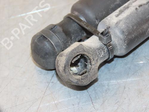 Tailgate lift support RENAULT CLIO IV (BH_) 1.5 dCi 90 | BP26511690C138