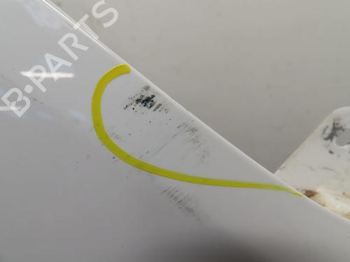 Used Left front fenders RENAULT TWINGO II (CN0_) 1.2 16V (CN04, CN0B) (75 hp) 30955721