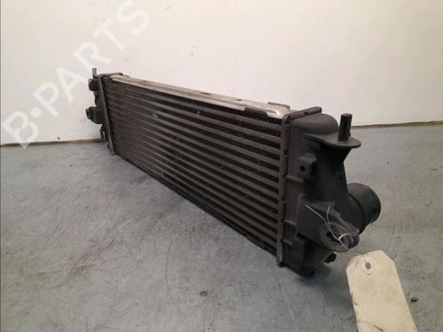 Used Other NISSAN PRIMASTAR Van (X83) 2.0 dCi 115 (114 hp) 14856364