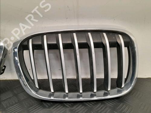 Grille BMW X1 (F48) xDrive 20 d | BP27665766C40 