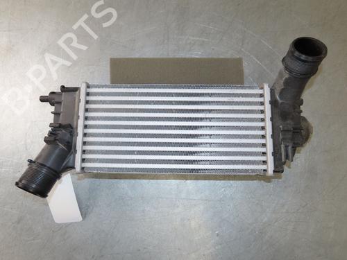 Andere FORD PUMA (J2K, CF7) 1.0 Flexifuel | BP24831572O1 