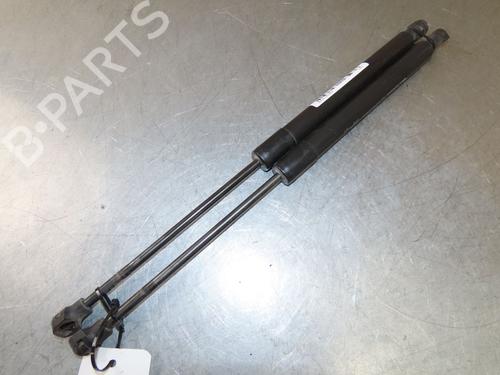 Tailgate lift support RENAULT CLIO III Grandtour (KR0/1_)  | BP29294051C138