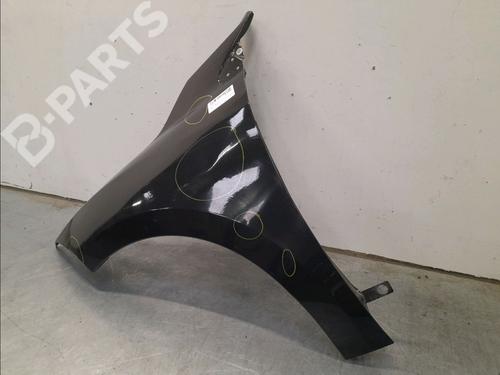 Left front fenders RENAULT MEGANE III Hatchback (BZ0/1_, B3_) 1.9 dCi (BZ0N, BZ0J) | BP11976282C41 