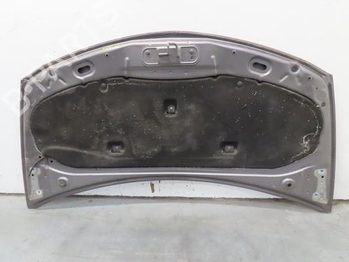 Hood RENAULT CLIO III Grandtour (KR0/1_) 1.5 dCi | BP22366905C1