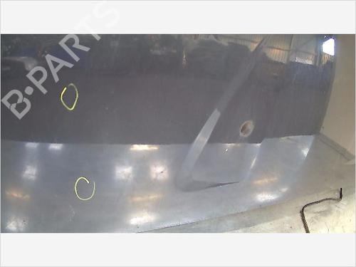 Hood DACIA SANDERO 1.4 (BS0C, BS0A, BS0G, BS1F, BS0E) | BP9406706C1