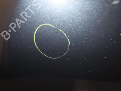 Hood RENAULT MEGANE III Coupe (DZ0/1_) 1.6 16V (DZ0U, DZ1B, DZ1H) | BP29985807C1