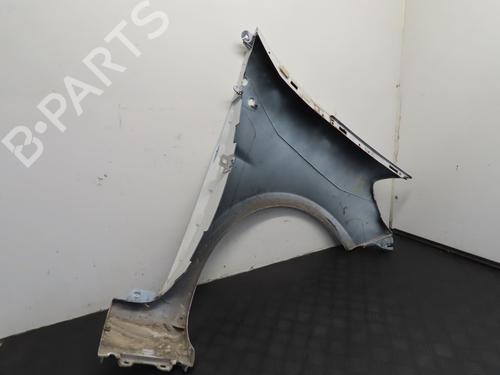 Left front fenders RENAULT CLIO III (BR0/1, CR0/1) 1.5 dCi (C/BR0G, C/BR1G) | BP22381741C41 