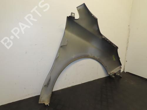 Left front fenders CITROËN C4 II (NC_) 1.6 HDi 110 | BP29516761C41 