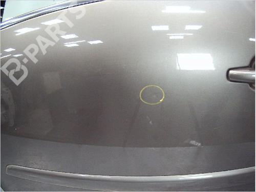Left front door CITROËN C4 Picasso I MPV (UD_) 1.6 HDi | BP10990365C2 