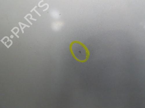 Hood FIAT PUNTO (199_) 1.2 (199AXZ1A, 199BXZ1A) | BP24831612C1 