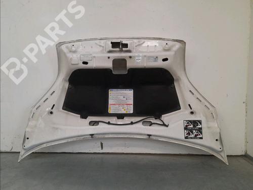 Hood CITROËN NEMO MPV 1.4 HDi | BP11770867C1