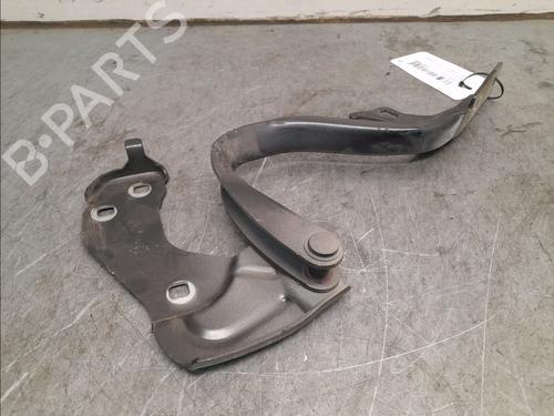 Hinge/Door check strap FIAT 500 (312_) 1.2 (312AXA1A) | BP16130368C146