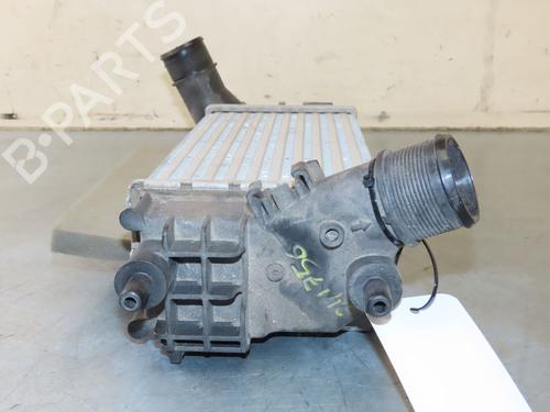 Andere FORD PUMA (J2K, CF7) 1.0 Flexifuel | BP24831572O1 