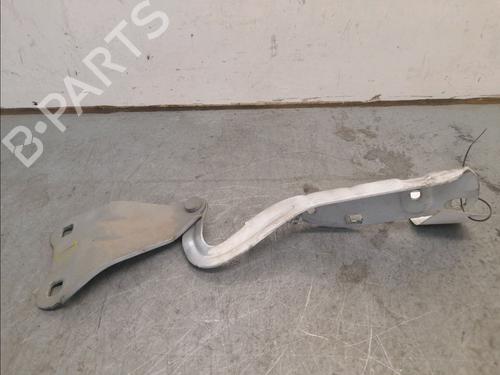 Used Hinge/Door check strap RENAULT TWINGO II (CN0_) 1.5 dCi 75 (75 hp) 14945419