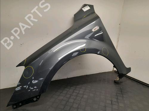 Left front fenders KIA CEE'D Hatchback (ED) 1.6 CRDi 90 | BP22381730C41