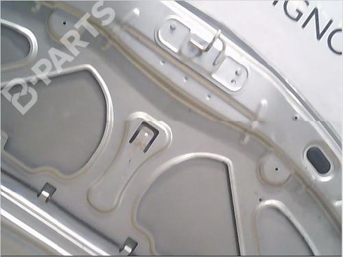 Hood RENAULT CLIO III (BR0/1, CR0/1) 1.2 16V (BR02, BR0J, BR11, CR02, CR0J, CR11) | BP9405765C1 