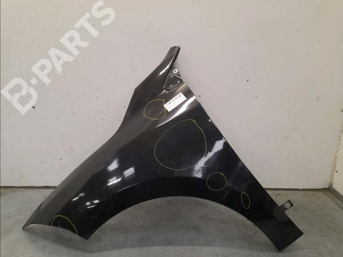 Used Left front fenders RENAULT MEGANE III Hatchback (BZ0/1_, B3_) 1.9 dCi (BZ0N, BZ0J) (131 hp) 11976282