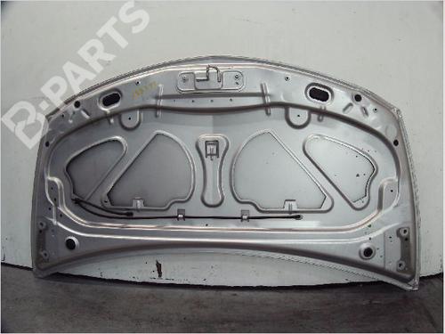 Hood RENAULT CLIO III (BR0/1, CR0/1) 1.5 dCi (BR17, CR17) | BP11098423C1