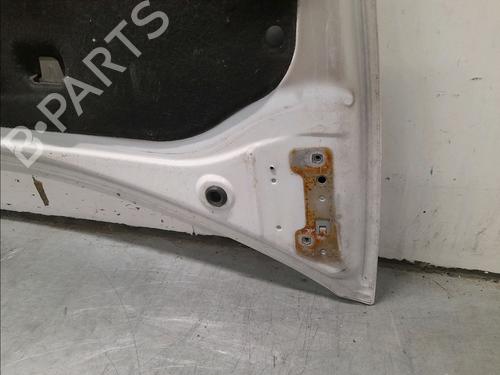 Hood RENAULT CLIO III (BR0/1, CR0/1) 1.5 dCi (C/BR0G, C/BR1G) | BP15813169C1 
