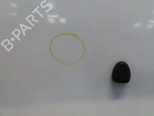 Used Hood PEUGEOT 207 CC (WD_) 1.6 HDi (112 hp) 29739416