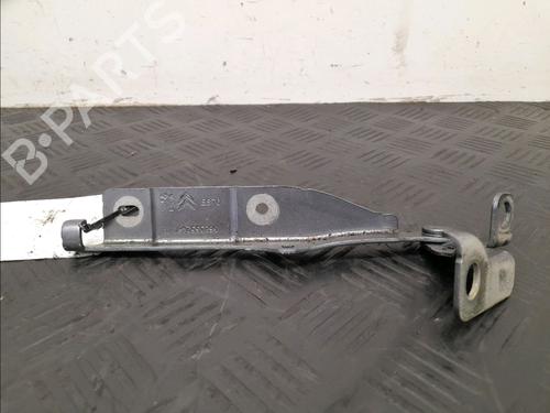 Hinge/Door check strap CITROËN DS3 (SA_) 1.4 VTi 95 | BP27923433C146 
