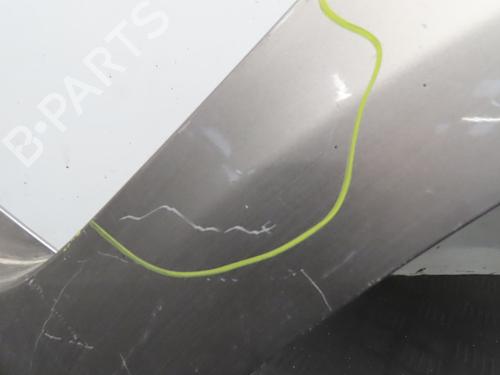 Right front fenders RENAULT CLIO III (BR0/1, CR0/1) 1.5 dCi (C/BR0G, C/BR1G) | BP17775850C42 