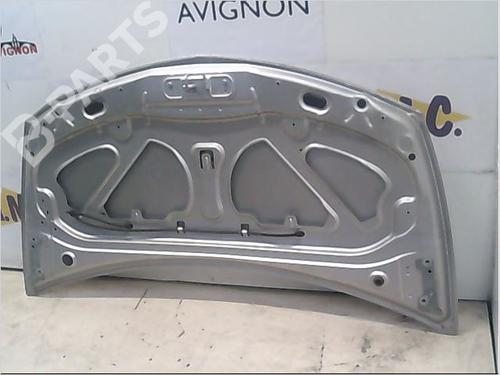 Hood RENAULT CLIO III (BR0/1, CR0/1) 1.2 16V (BR02, BR0J, BR11, CR02, CR0J, CR11) | BP9405765C1 