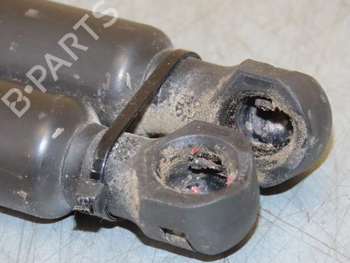 Tailgate lift support RENAULT CLIO IV (BH_) 1.5 dCi 90 | BP22367624C138