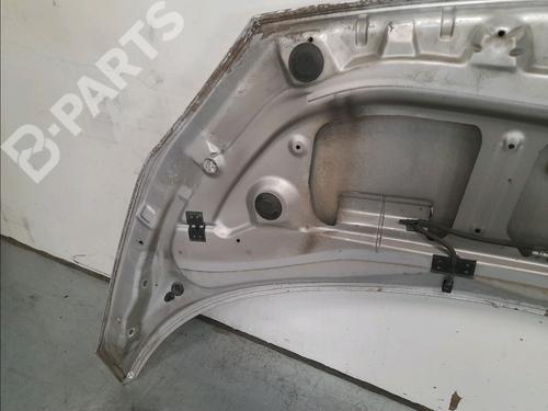 Hood RENAULT SCÉNIC II (JM0/1_) 1.5 dCi (JM1E, JM16) | BP11131239C1 