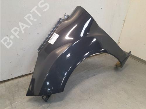 Left front fenders FORD FIESTA VI (CB1, CCN) 1.5 TDCi | BP13242895C41 