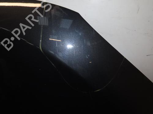 Hood RENAULT MEGANE III Coupe (DZ0/1_) 1.6 16V (DZ0U, DZ1B, DZ1H) | BP29985807C1