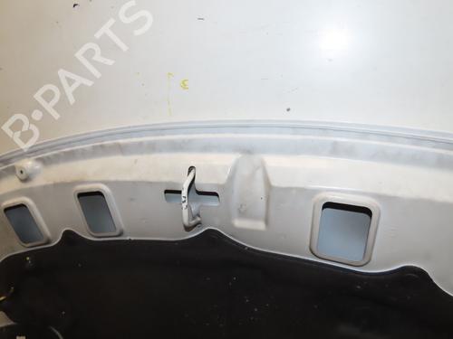 Hood PEUGEOT 206+ (2L_, 2M_) 1.4 HDi eco 70 | BP29739418C1 