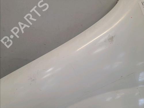 Left front fenders RENAULT KANGOO Express (FW0/1_) 1.5 dCi 70 (FW0A, KW0V) | BP12207345C41 