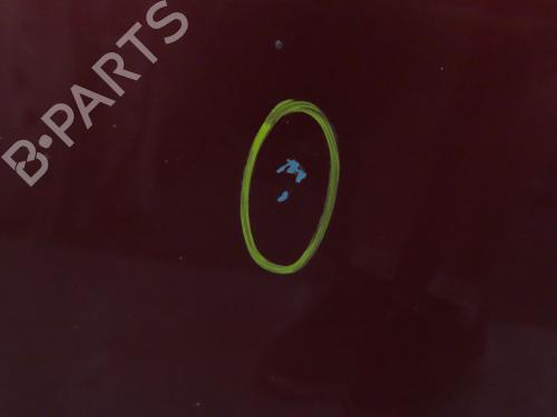 Hood PEUGEOT PARTNER MPV (5_, G_) 1.6 HDi 90 | BP29016788C1 