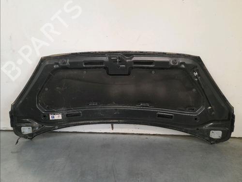 Hood PEUGEOT 1007 (KM_) 1.6 16V | BP23158521C1