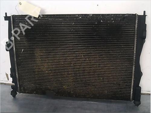 Used Water radiator NISSAN QASHQAI I (J10, NJ10) 2.0 dCi (150 hp) 9411321