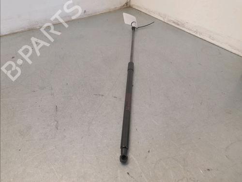 Used Tailgate lift support Tailgate lift support NISSAN JUKE (F15) 1.2 DIG-T (115 hp) 34609375 34609375