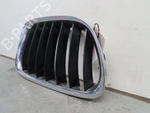 Grille BMW X1 (E84) sDrive 20 d | BP18887212C40