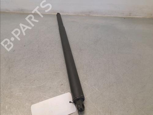 Tailgate lift support MERCEDES-BENZ GLA-CLASS (X156) GLA 200 CDI / d (156.908) | BP30403850C138