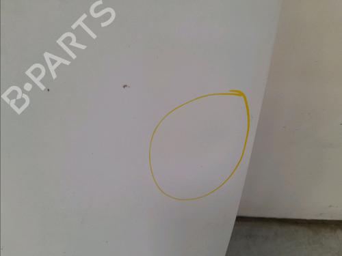 Used Hood RENAULT CLIO II (BB_, CB_) 1.5 dCi (B/CB07) (65 hp) 15051656