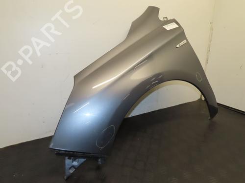 Left front fenders CITROËN C4 II (NC_) 1.6 HDi 110 | BP29516761C41 