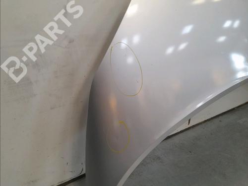 Hood RENAULT SCÉNIC II (JM0/1_) 1.5 dCi (JM1E, JM16) | BP11131239C1 