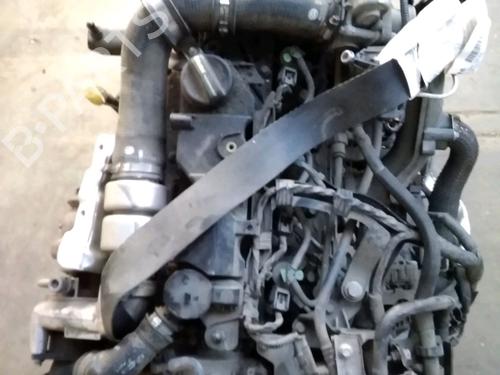 Used Engine FORD FIESTA VI (CB1, CCN) 1.4 TDCi (70 hp) 23157817