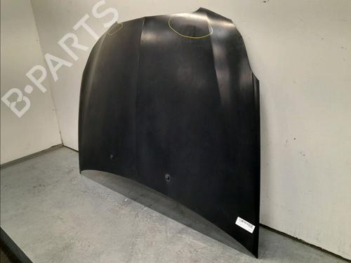Hood LANCIA DELTA III (844_) 1.6 D Multijet (844.AXC11, 844.AXC1A) | BP15770761C1 