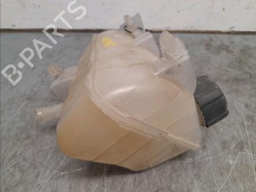 Used Expansion tank RENAULT KANGOO Express (FW0/1_) 1.5 dCi 70 (FW0A, KW0V) (68 hp) 16276614