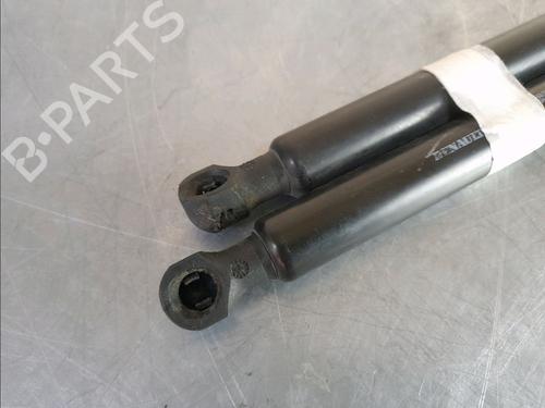 Tailgate lift support DACIA SANDERO II 1.5 dCi | BP14857726C138