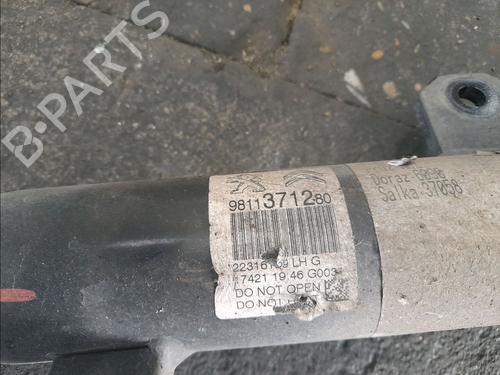 Used Left front shock absorber CITROËN C3 III (SX) 1.2 PureTech 82 (83 hp) 30556614