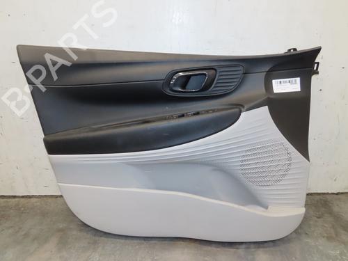 front-left-panel-hyundai-i20-iii-bc3-bi3-2020-33892958 main image